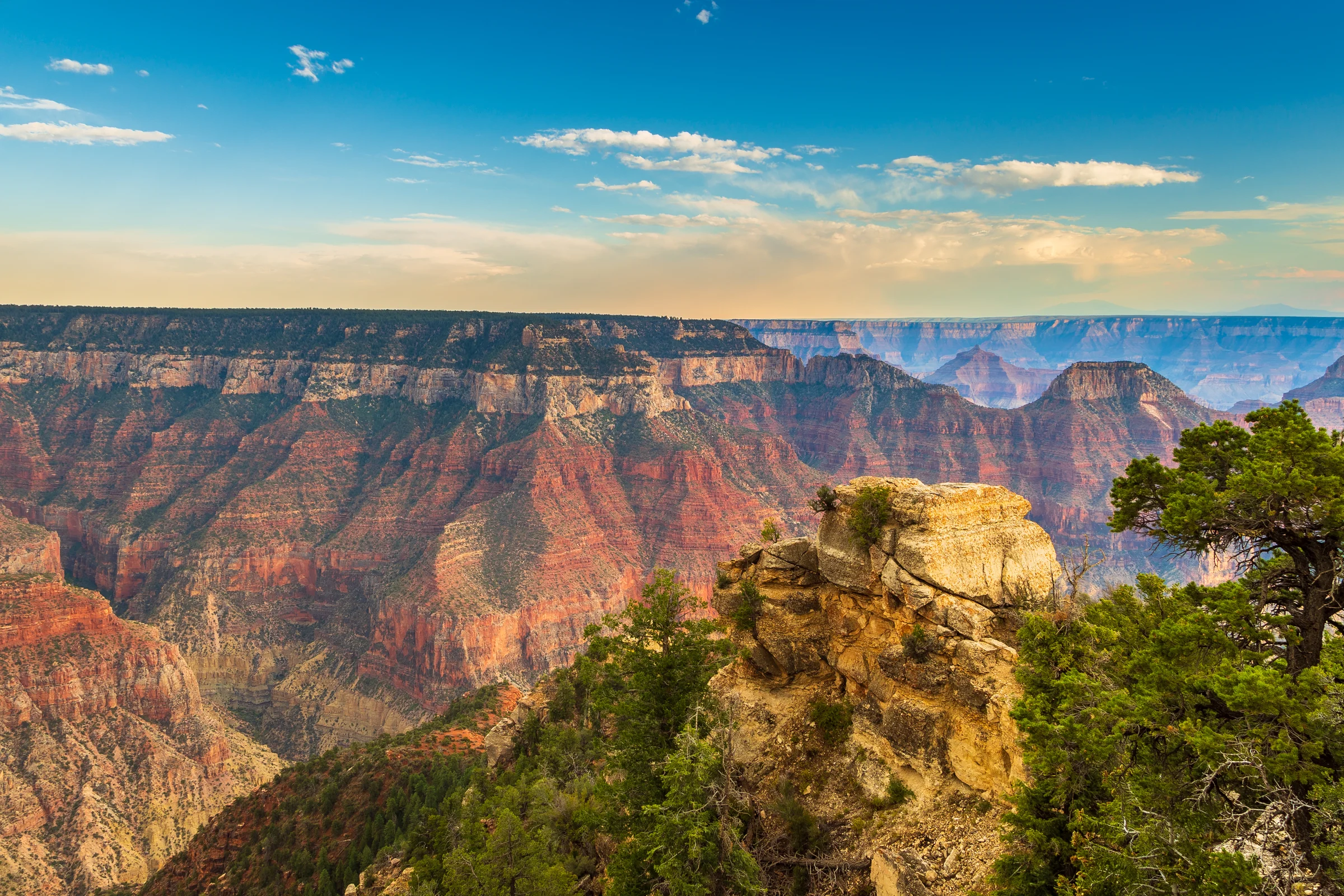 Grand Canyon North Rim at sunset with warm golden light over the canyon and dense conifer forest at the rim edge